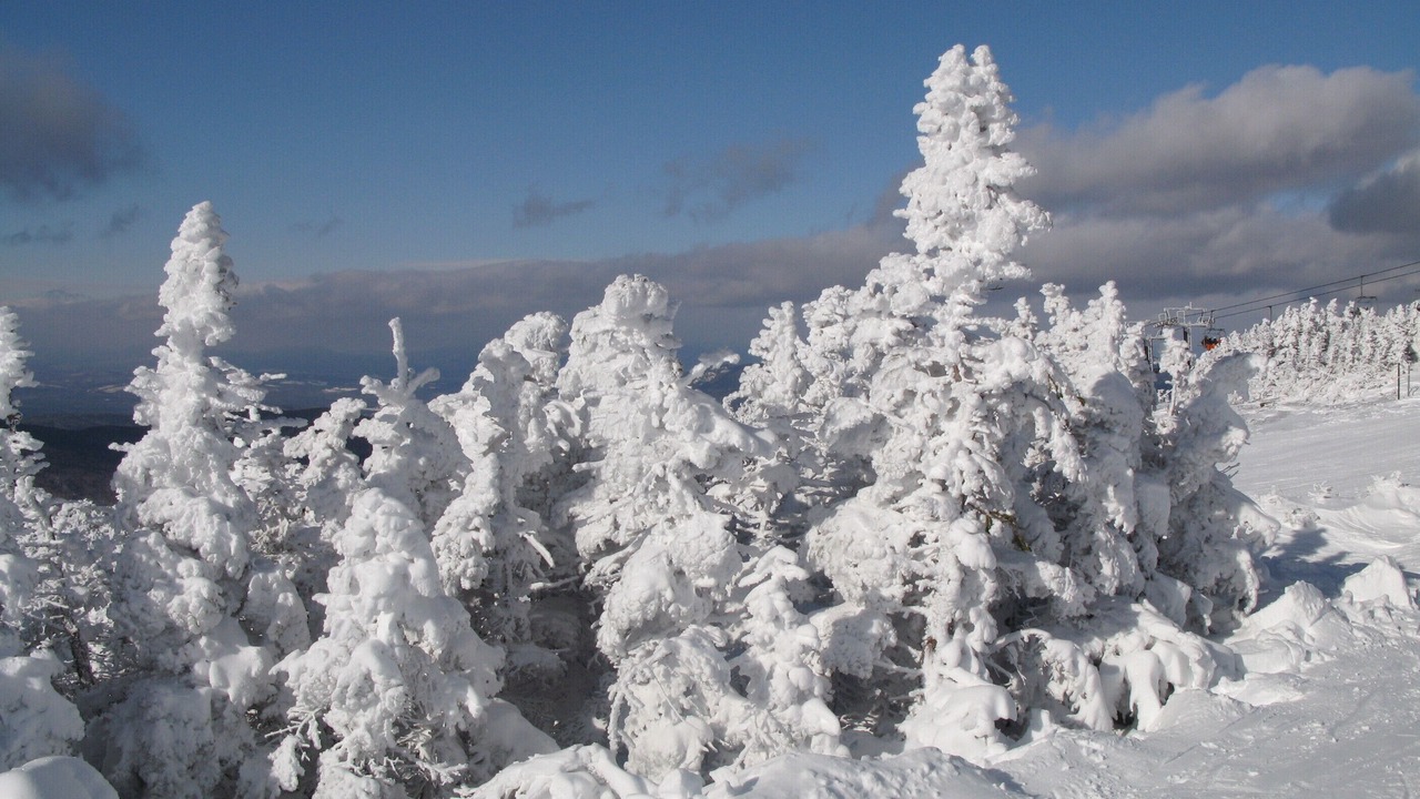 Photo of Others in Carrabassett Valley