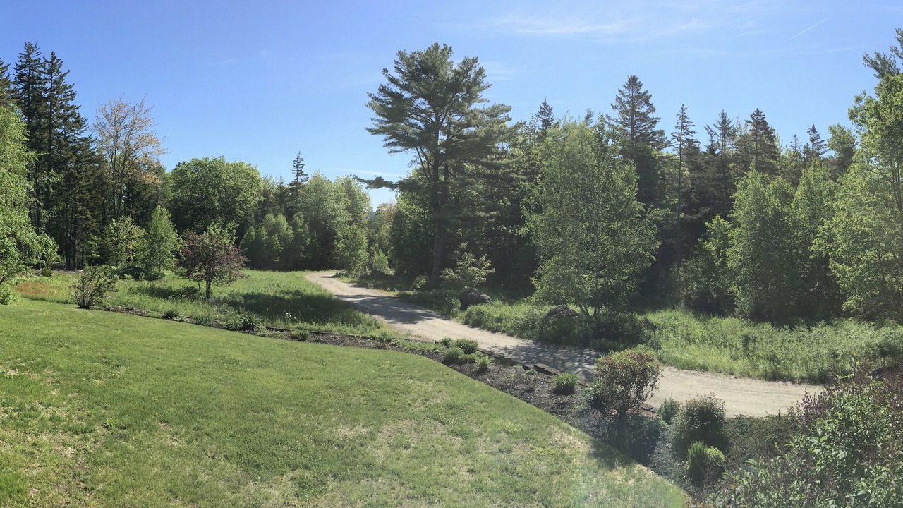 Photo of Outdoor in Blue Hill