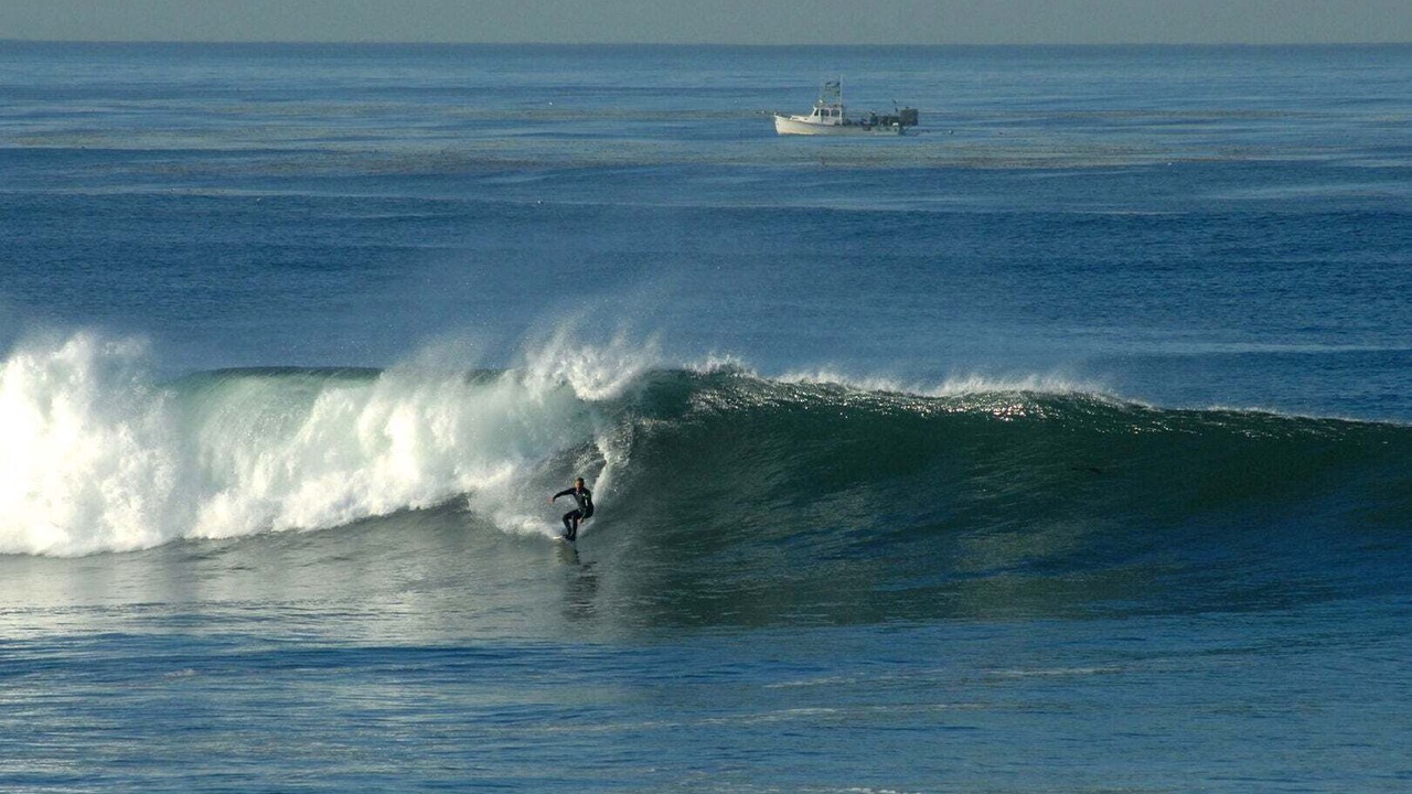 Photo of Others in Central Mission Beach