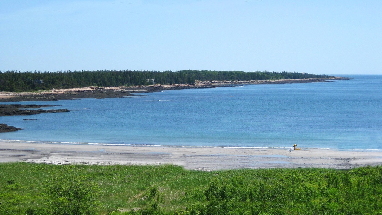 Photo of Others in Prospect Harbor