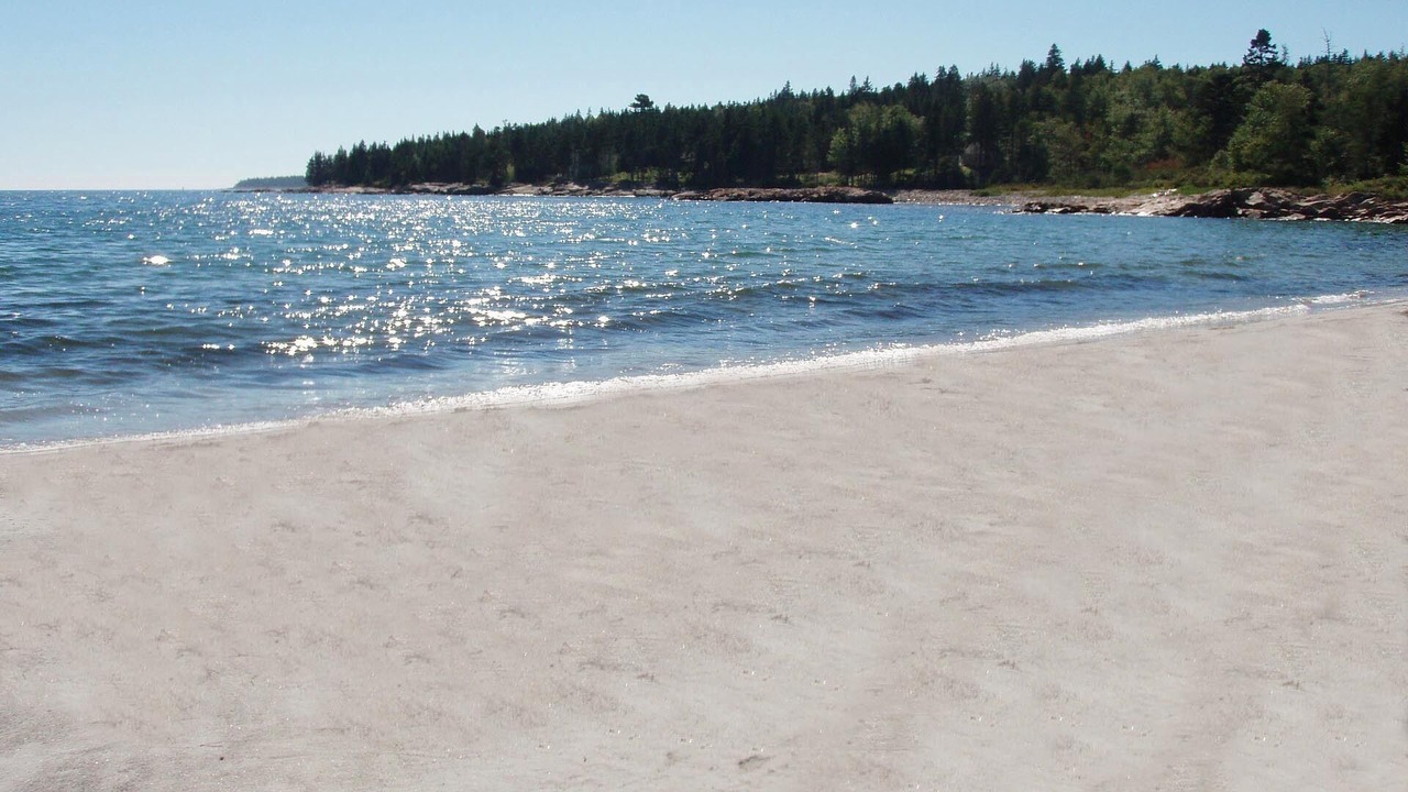 Photo of Others in Prospect Harbor