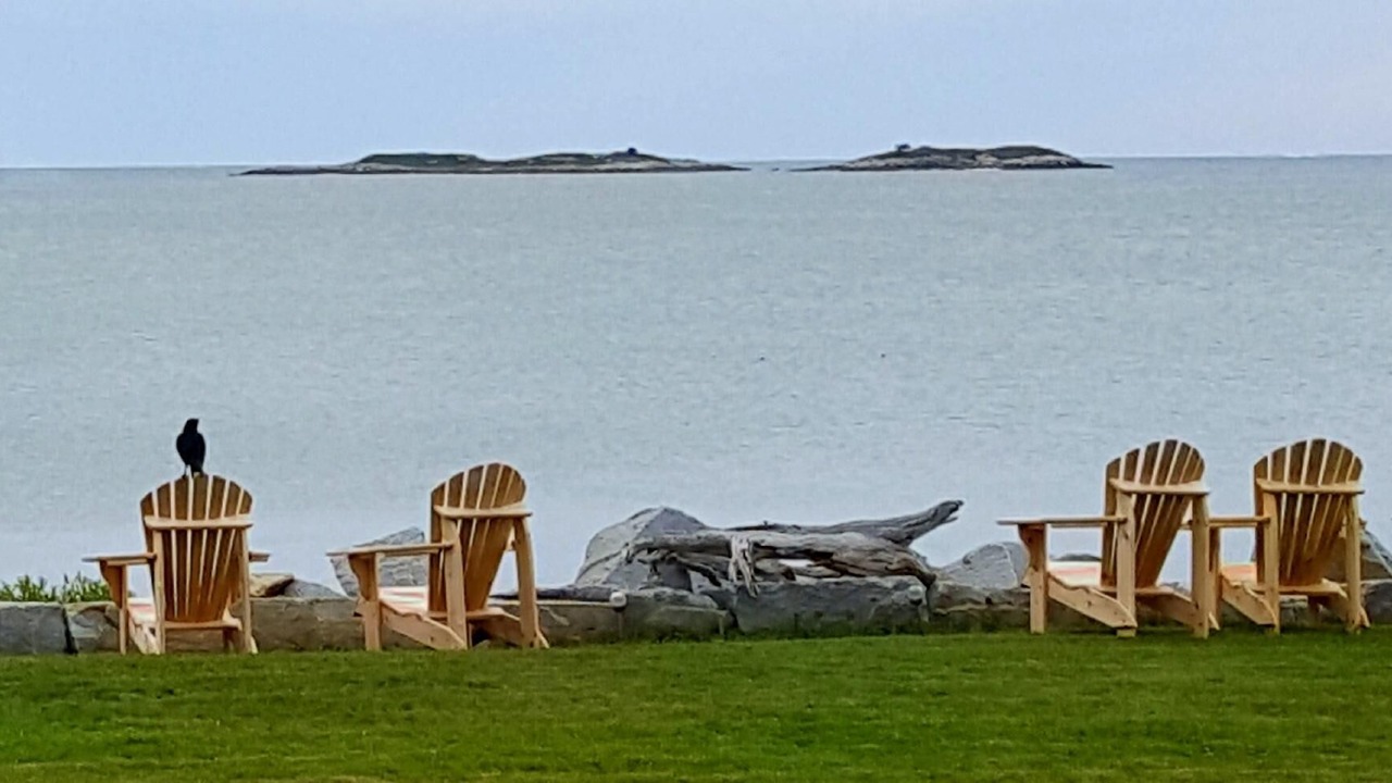 Photo of Outdoor in Port Clyde