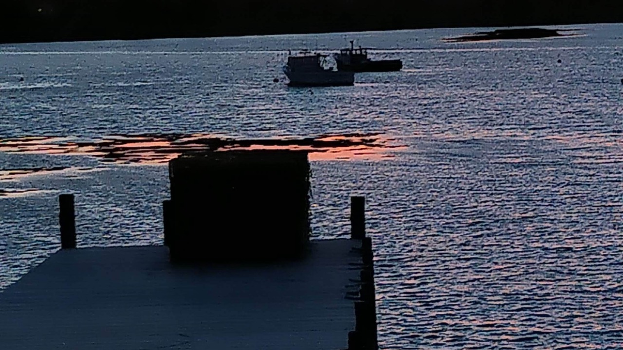 Photo of Others in Bass Harbor