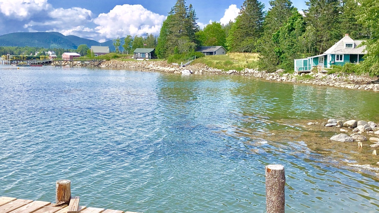 Photo of Others in Bass Harbor