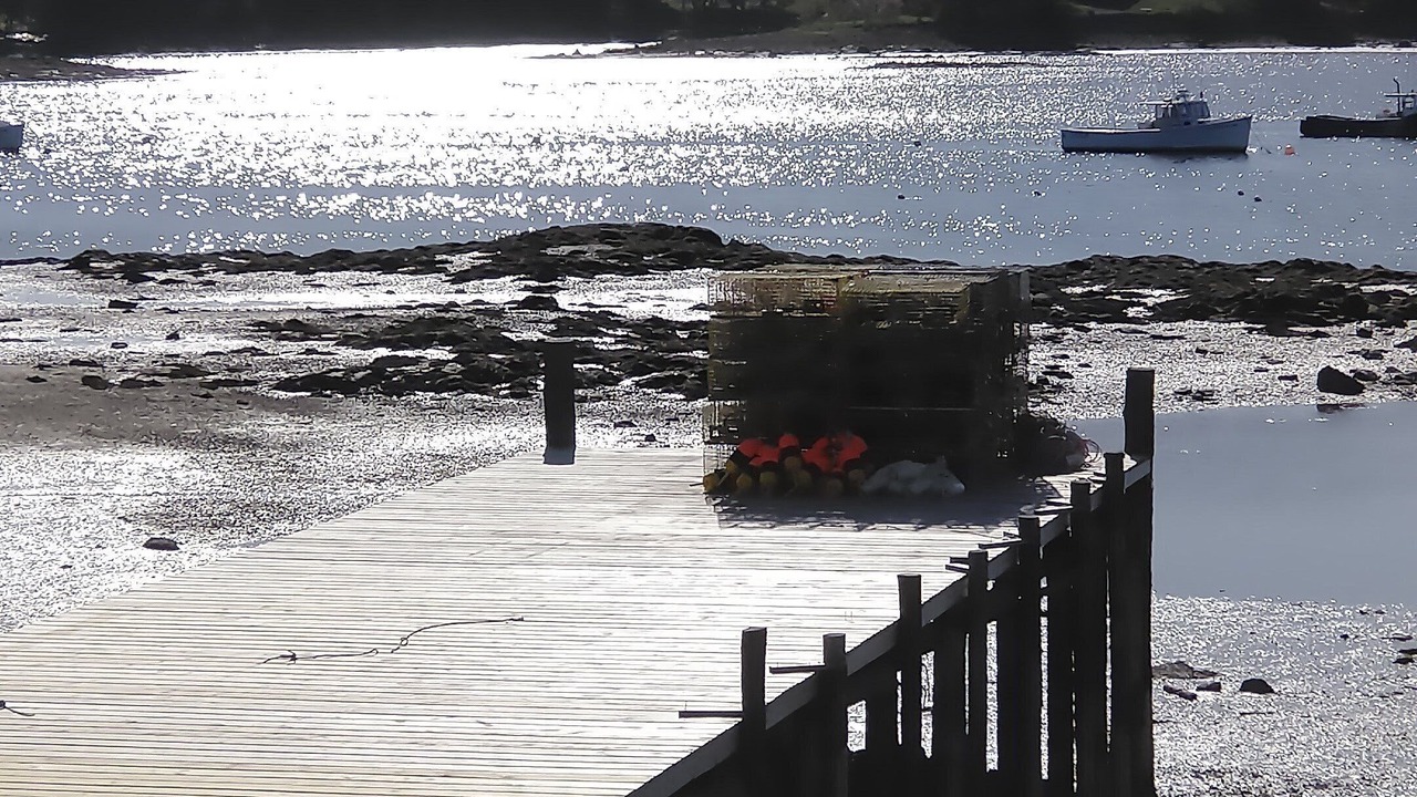 Photo of Others in Bass Harbor