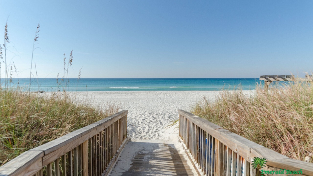 Photo of Others in Panama City Beach