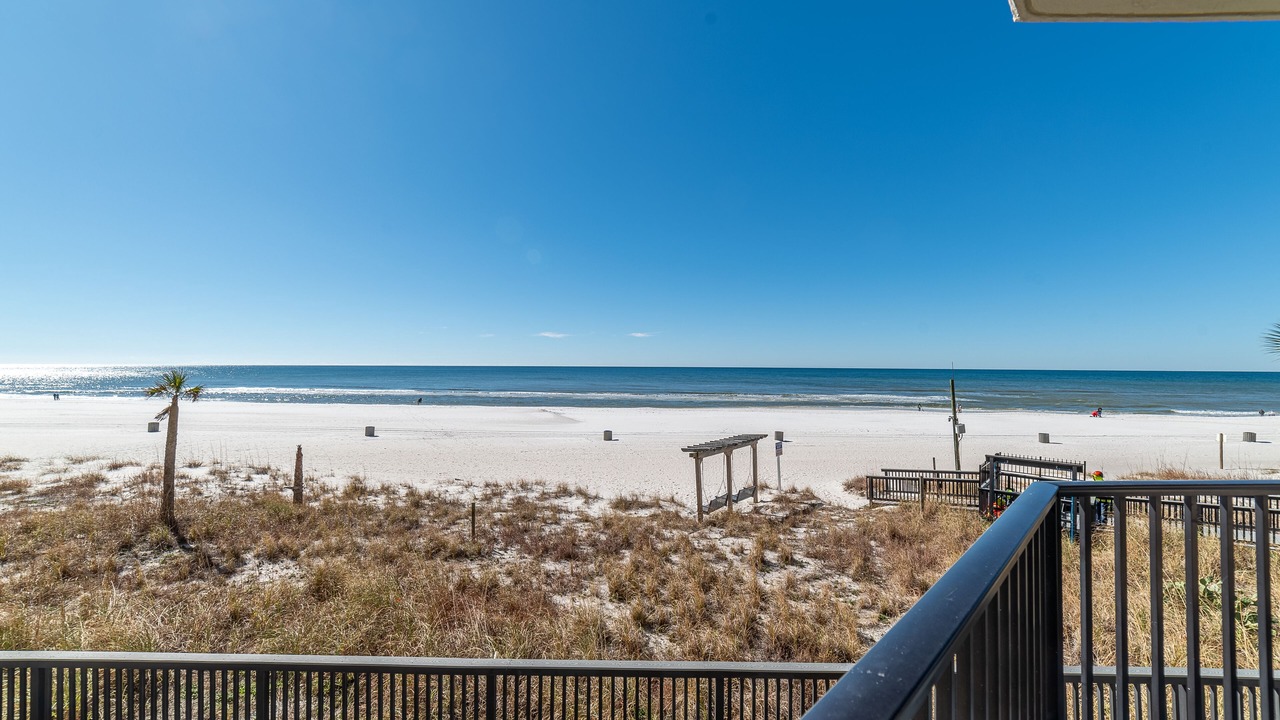 Photo of Others in Panama City Beach