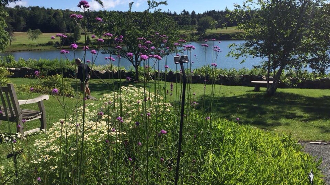 Photo of Outdoor in Southwest Harbor
