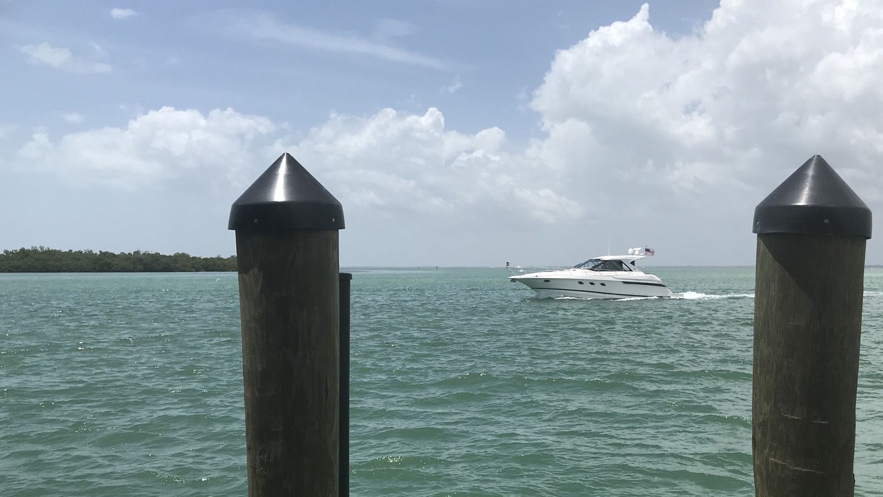 Photo of Others in Sarasota