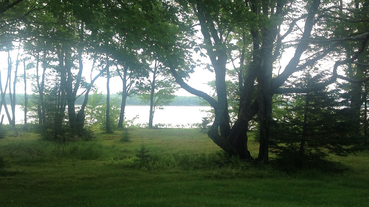 Photo of Outdoor in Harrington