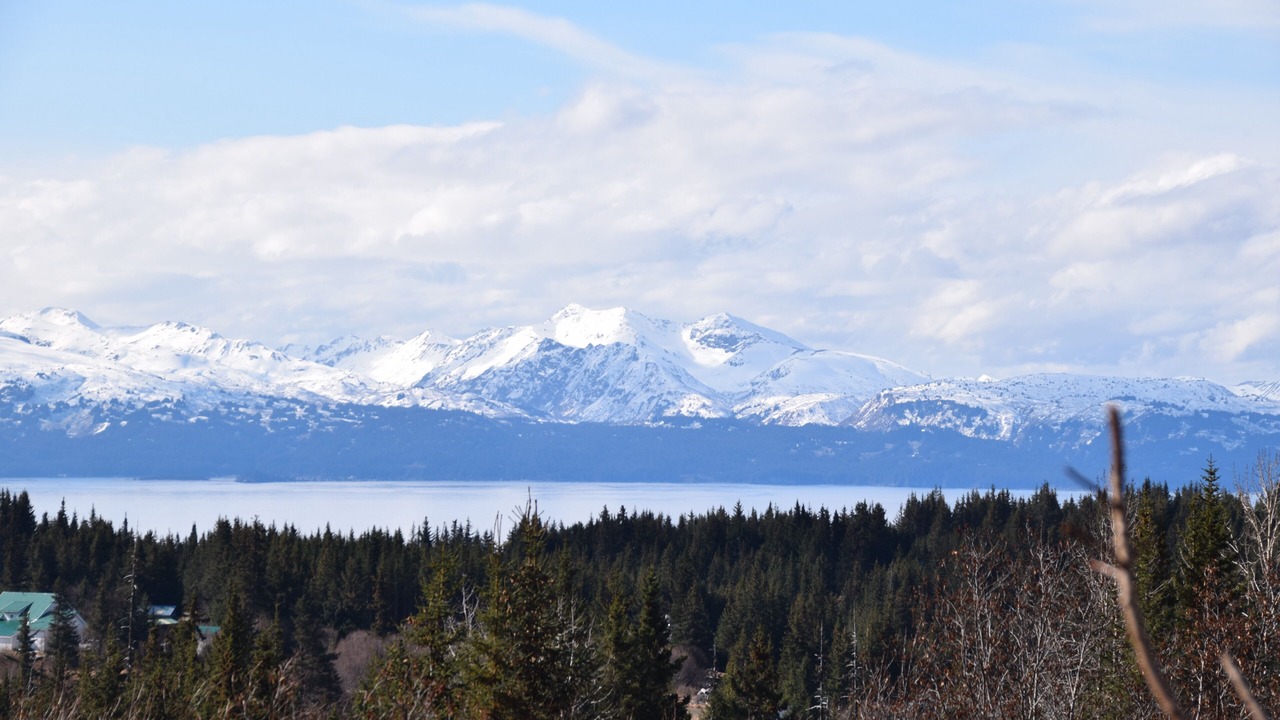 Photo of Others in Diamond Ridge