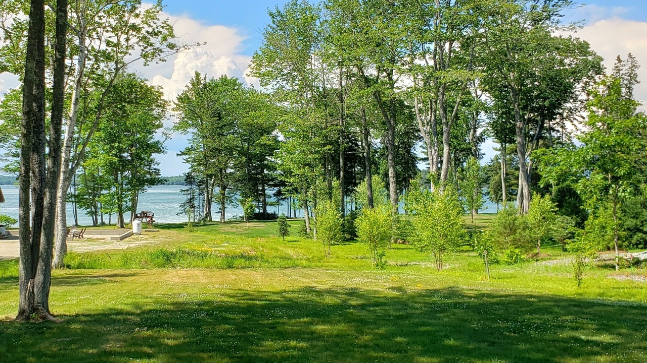 Photo of Outdoor in Hancock