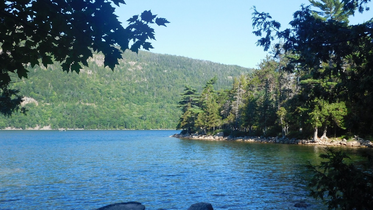 Photo of Others in Hulls Cove