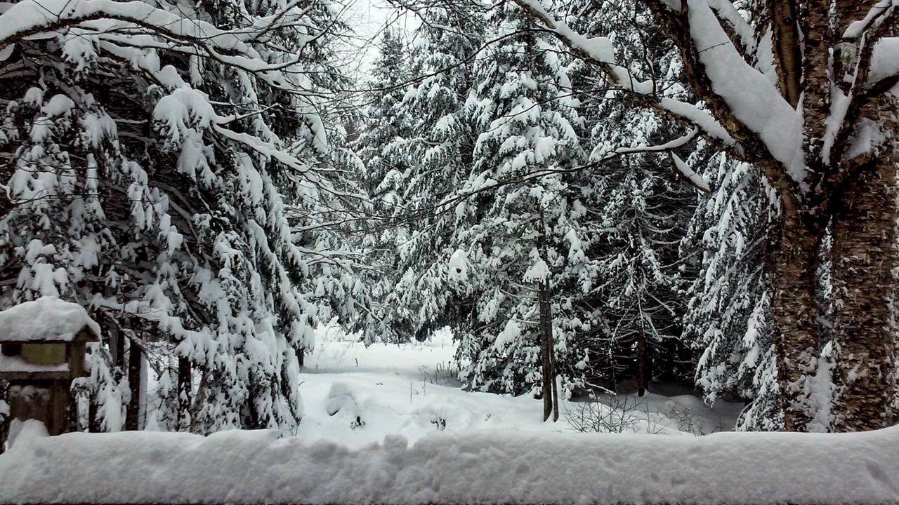 Photo of Outdoor in Shirley Mills