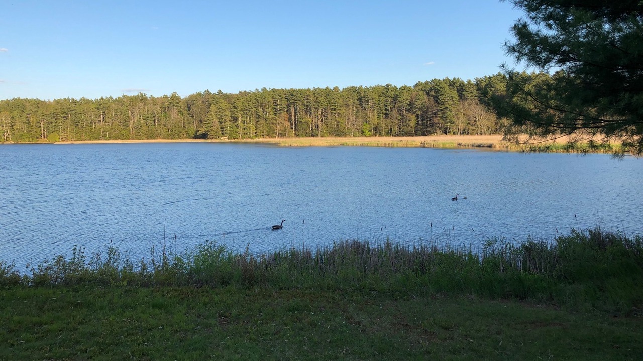 Photo of Outdoor in Mac Mahan