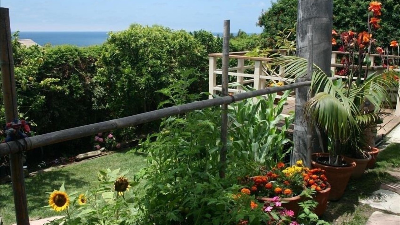 Photo of Outdoor in Cardiff-by-the-Sea