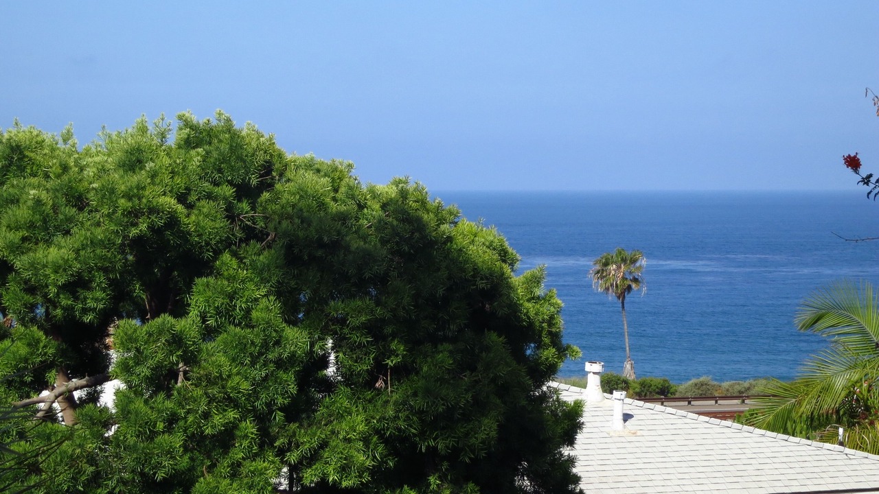 Photo of Others in Cardiff-by-the-Sea
