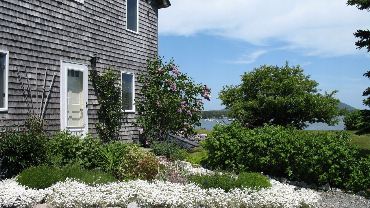 Photo of Outdoor in Bass Harbor