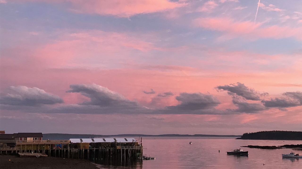 Photo of Others in Bass Harbor