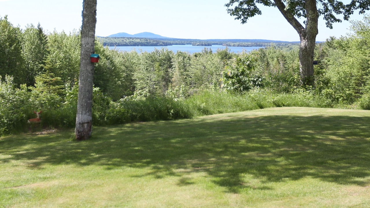 Photo of Outdoor in Lamoine