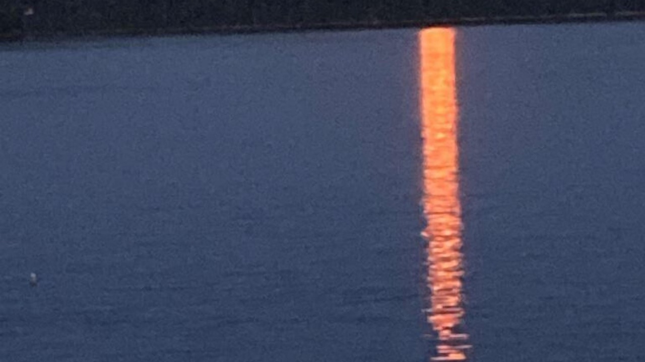 Photo of Others in Sandy Point