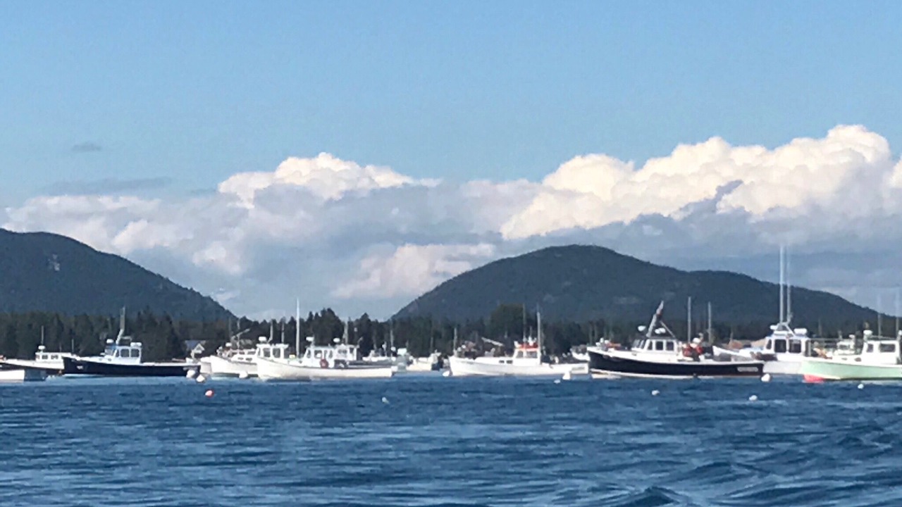 Photo of Others in Bass Harbor