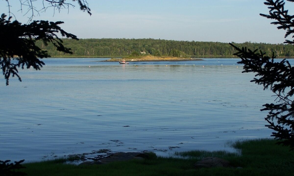 Photo of Others in Gouldsboro