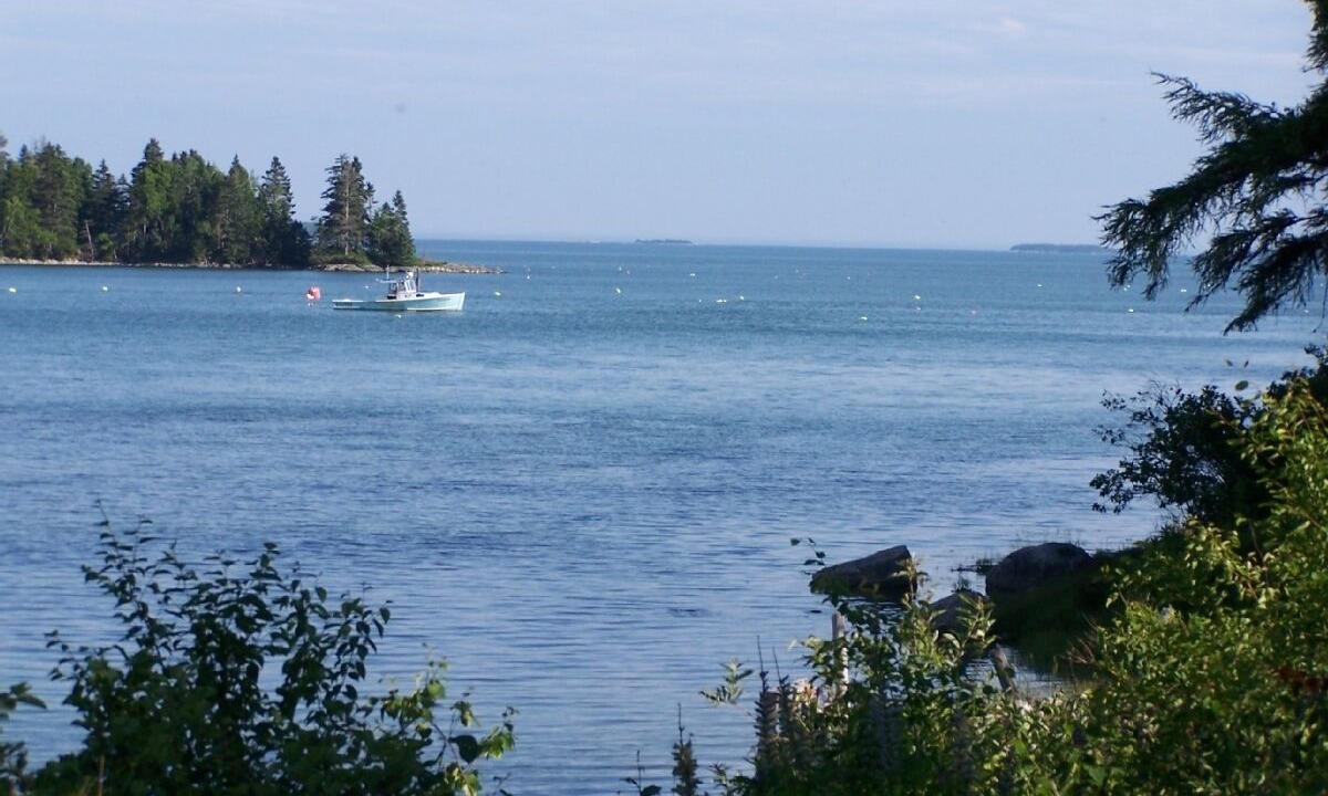 Photo of Others in Gouldsboro