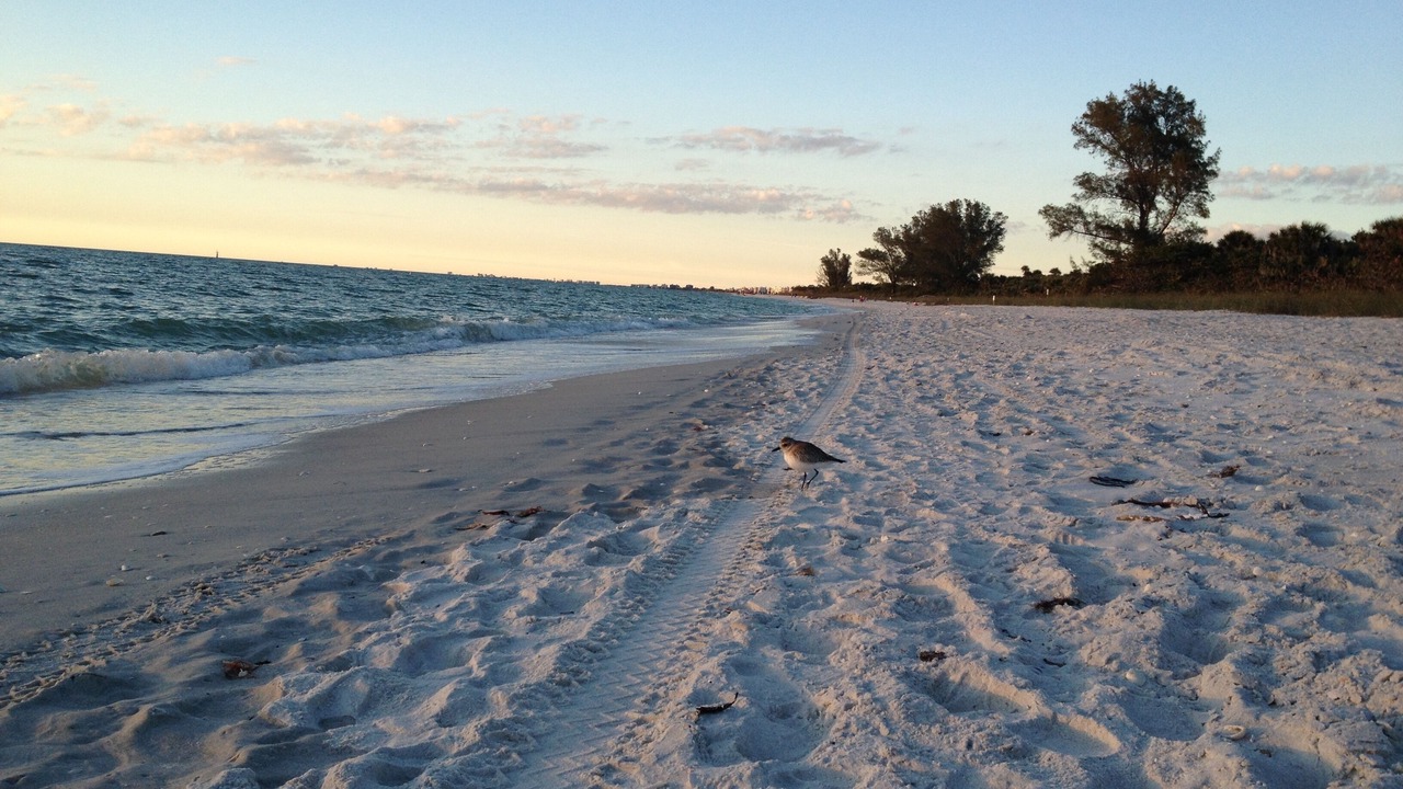 Photo of Others in Naples Park