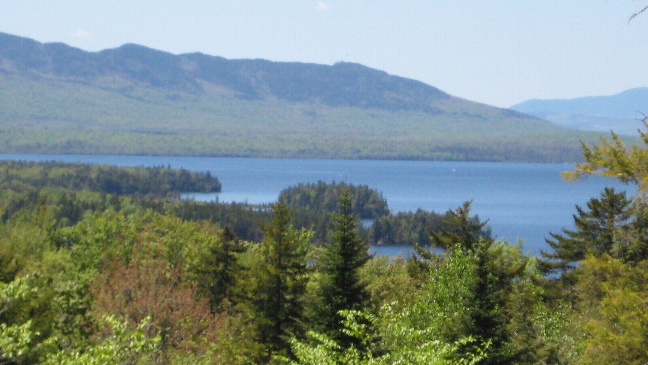 Photo of Others in Beaver Cove