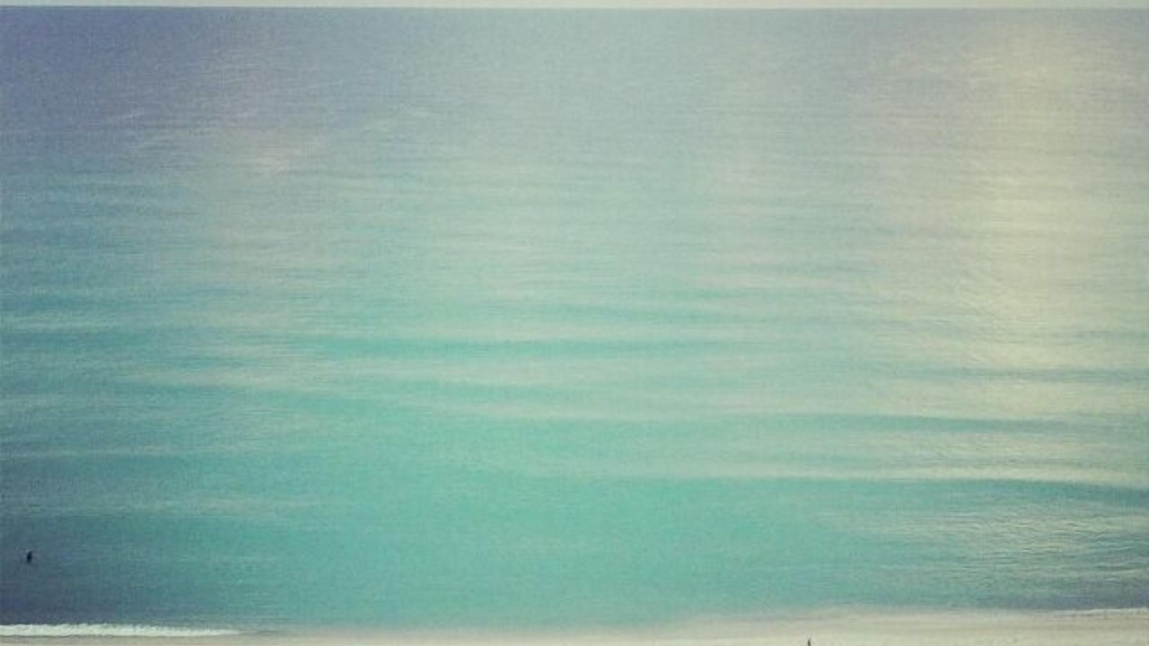 Photo of Others in Pensacola Beach