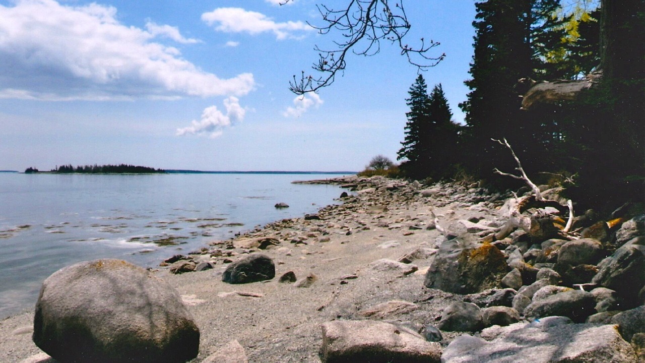 Photo of Others in Brooklin