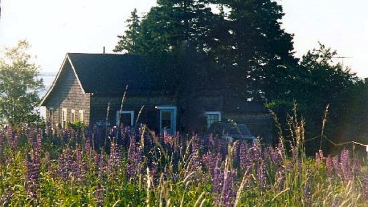 Photo of Bedroom in Brooklin