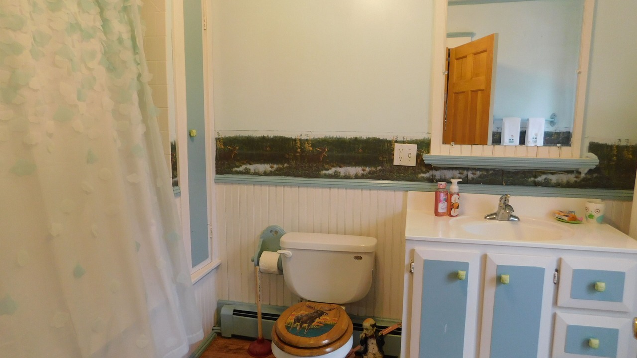 Photo of Bathroom in Greenville Junction