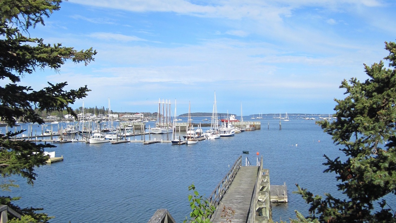 Photo of Outdoor in Southwest Harbor