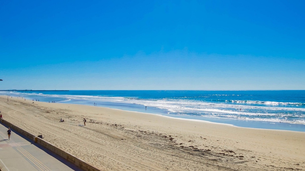 Photo of Others in Central Mission Beach
