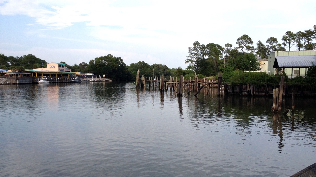 Photo of Outdoor in Gulf Shores