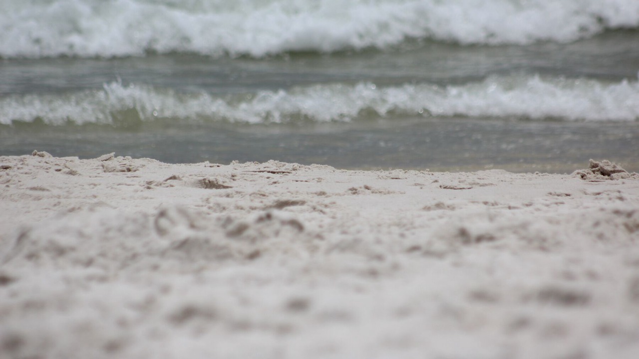 Photo of Others in Gulf Shores
