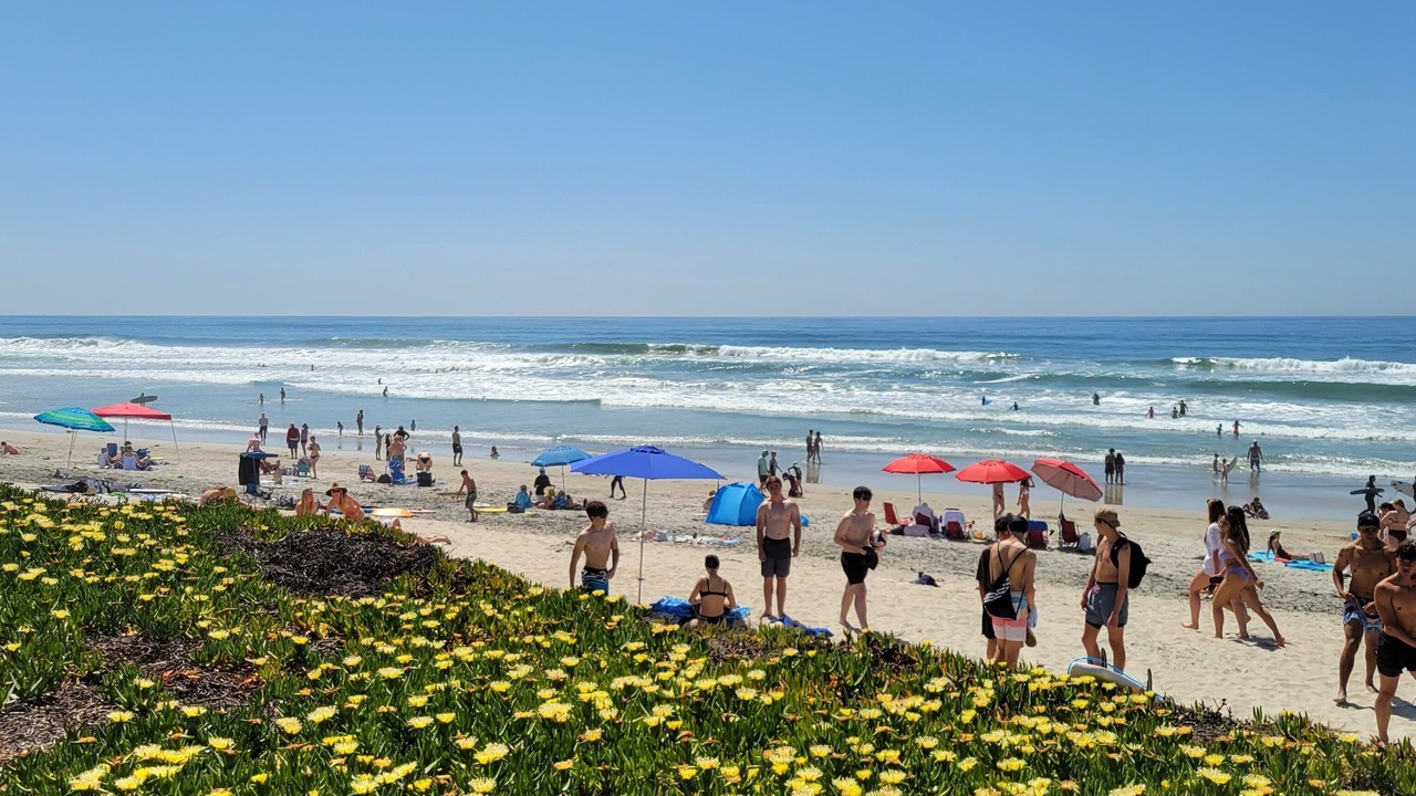 Photo of Others in Carlsbad