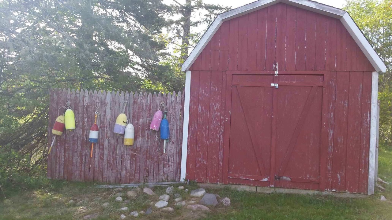 Photo of Outdoor in Milbridge
