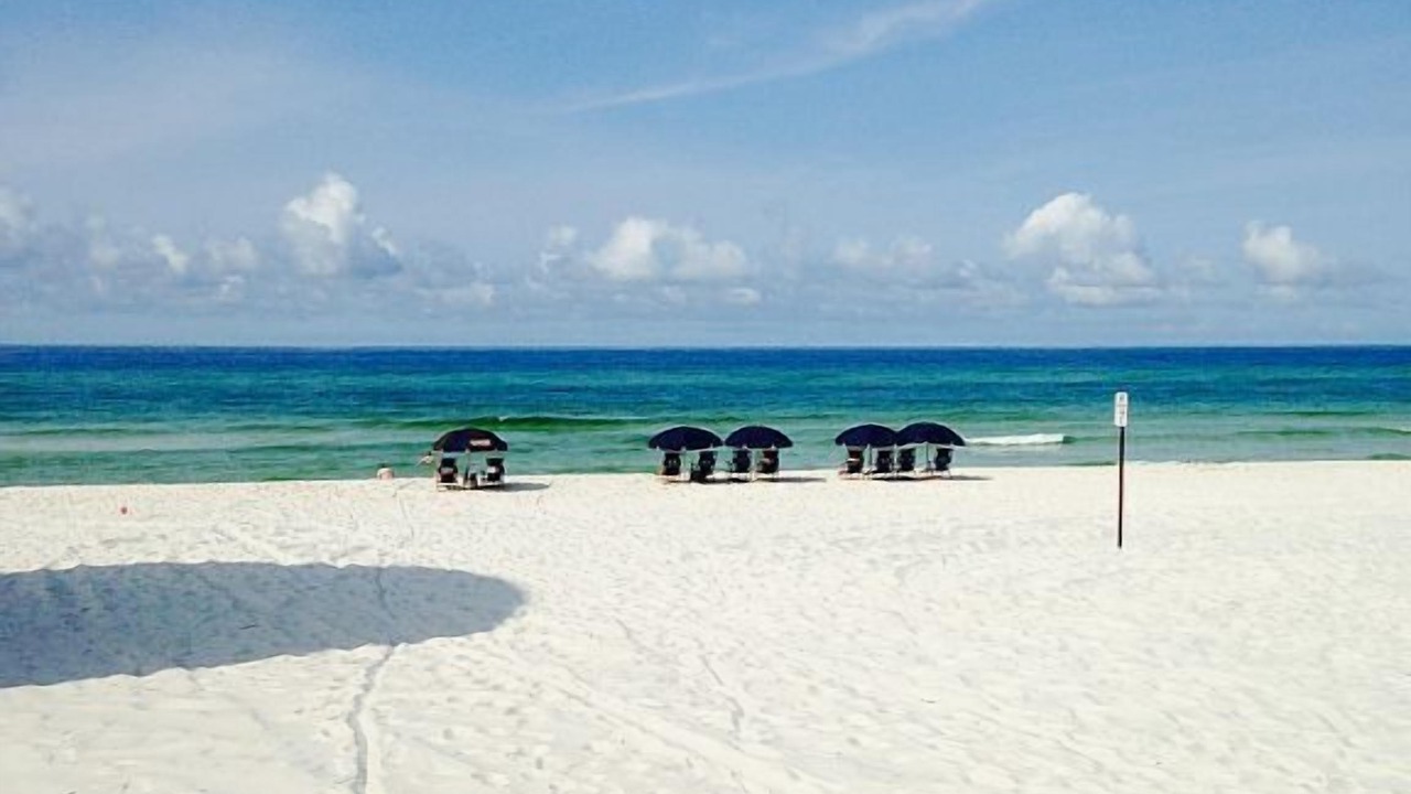 Photo of Others in Seagrove Beach