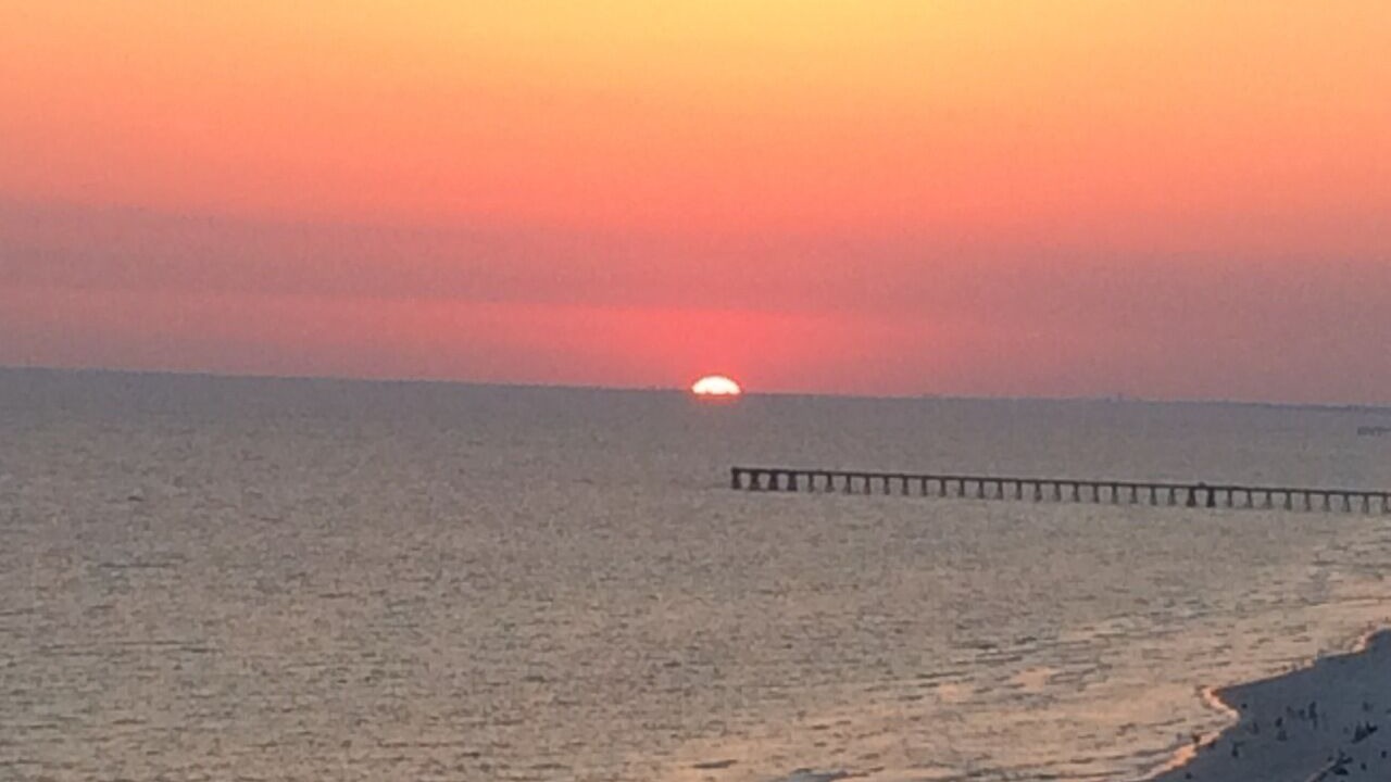 Photo of Others in Panama City Beach