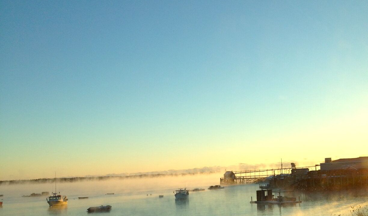 Photo of Others in Prospect Harbor