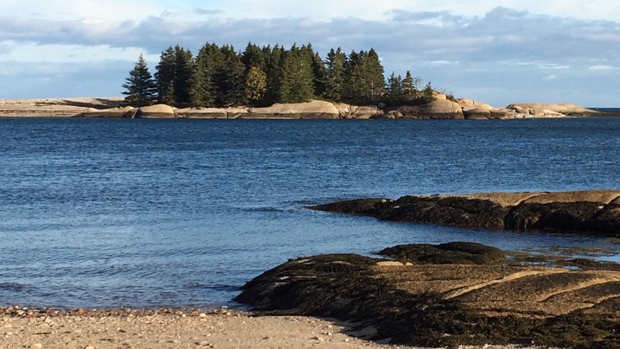 Photo of Others in Prospect Harbor