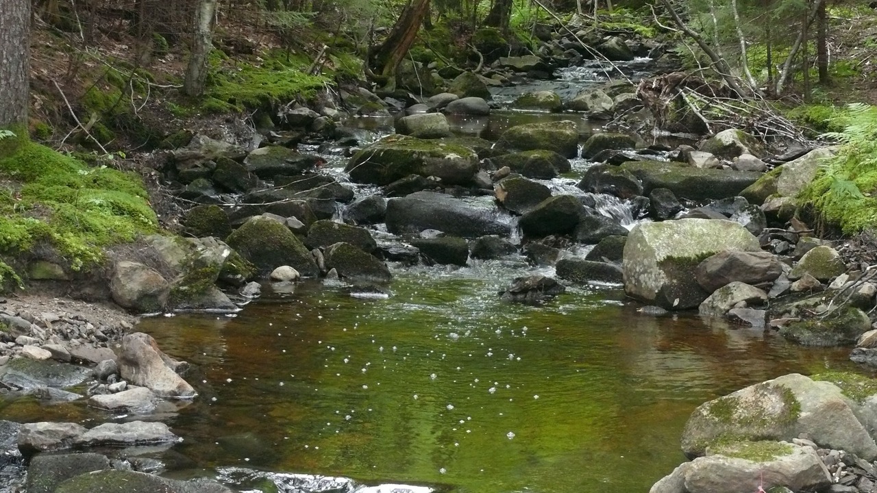 Photo of Outdoor in Northport
