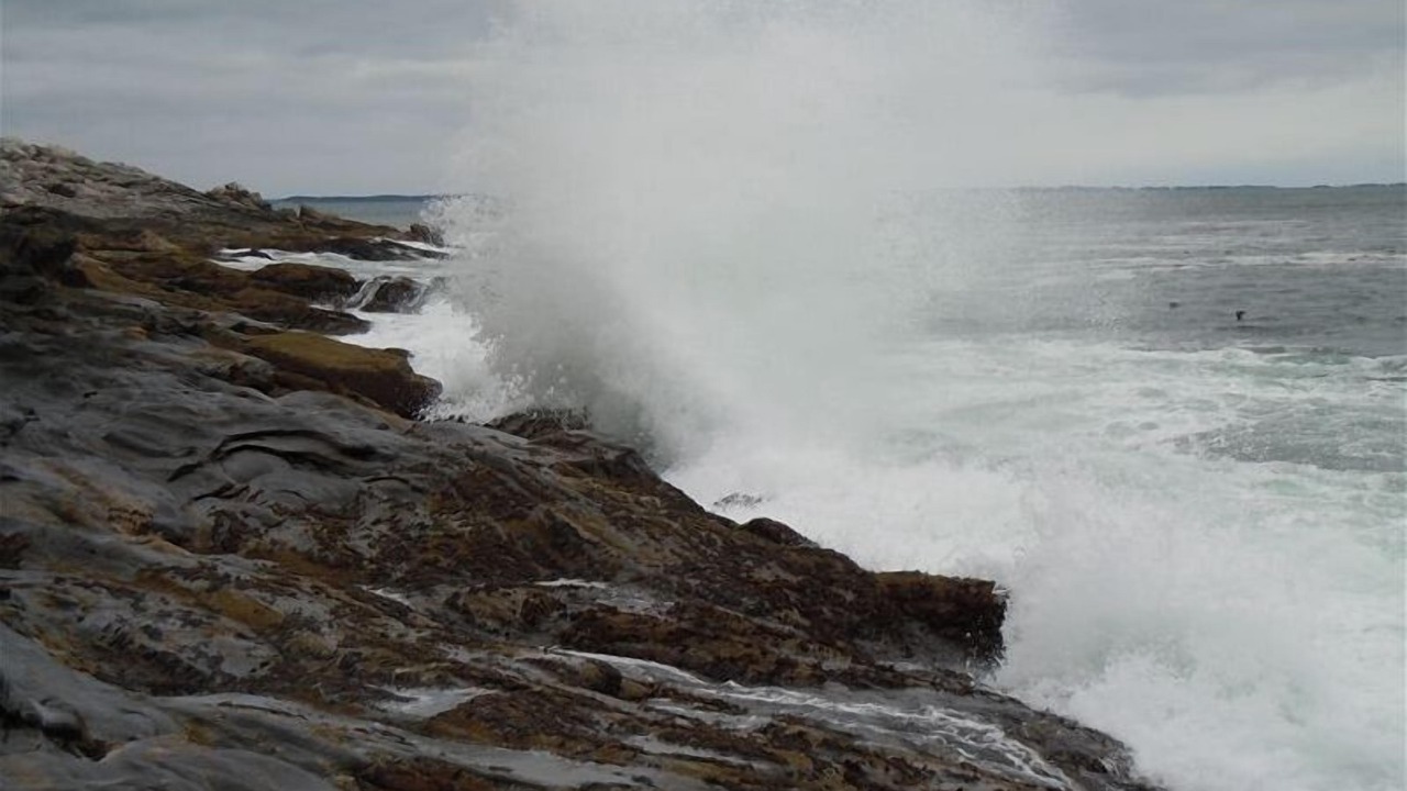 Photo of Others in Northport
