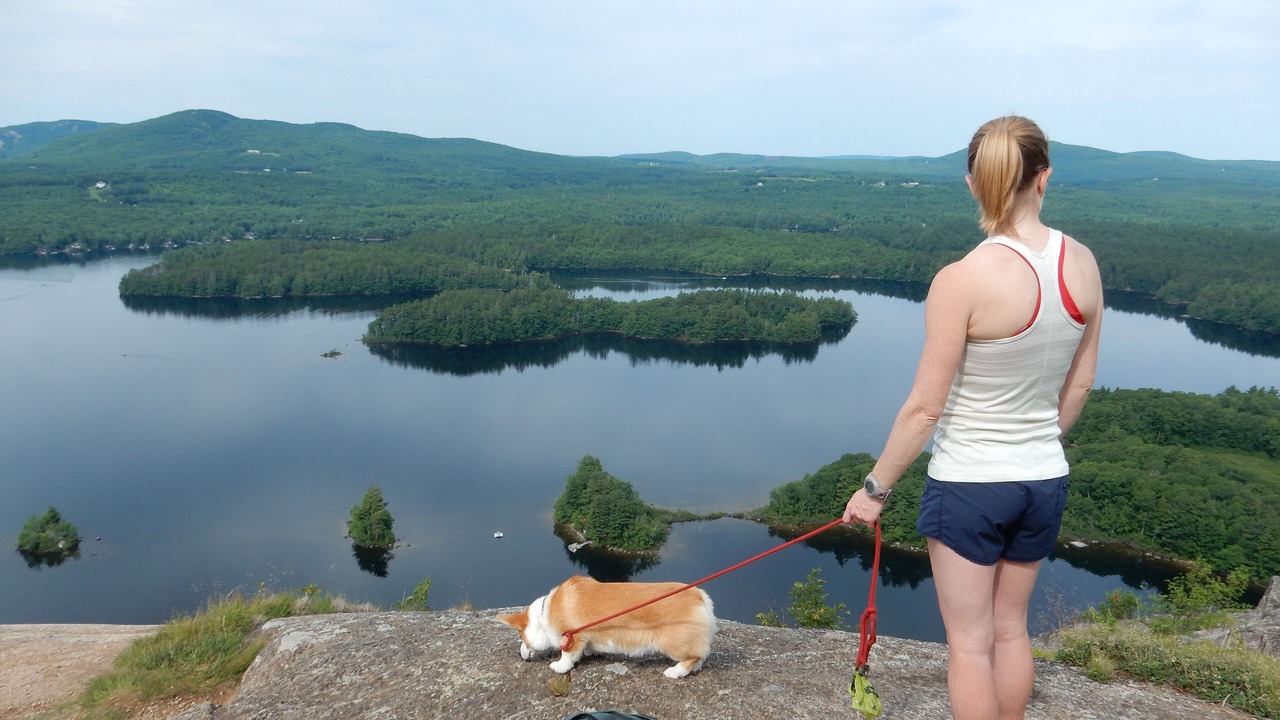 Photo of Outdoor in Northport