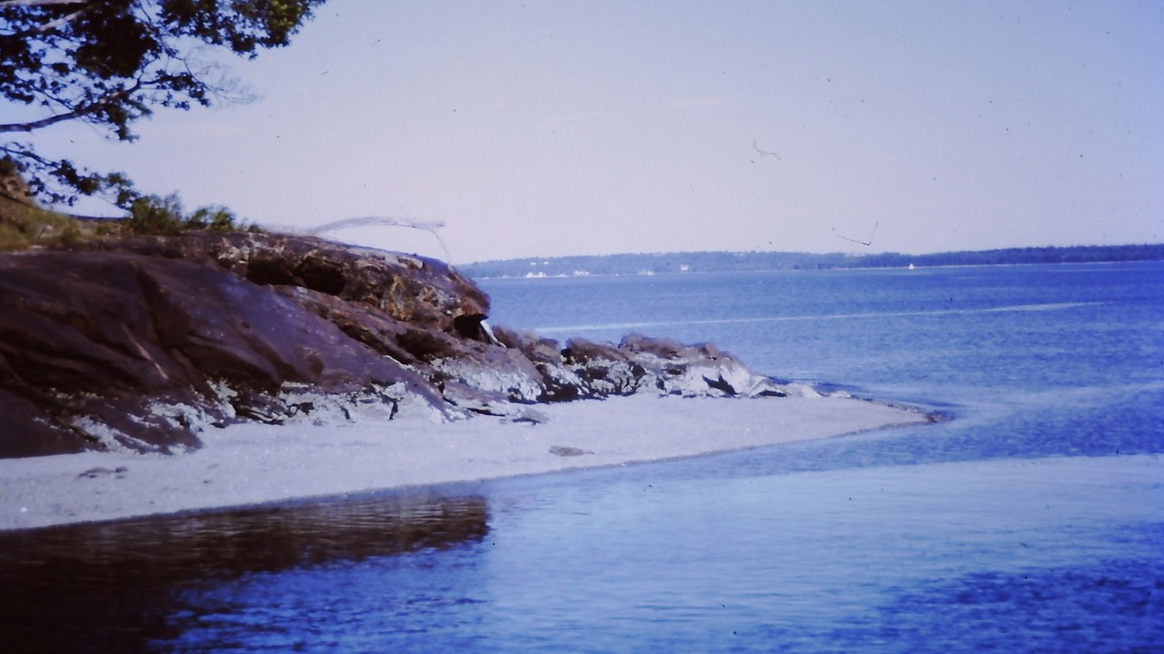 Photo of Others in Northport