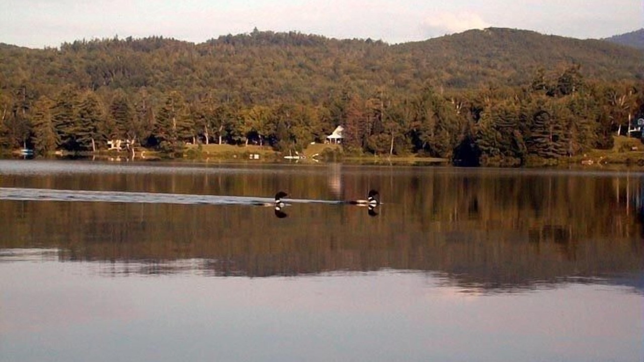 Photo of Others in Hanover