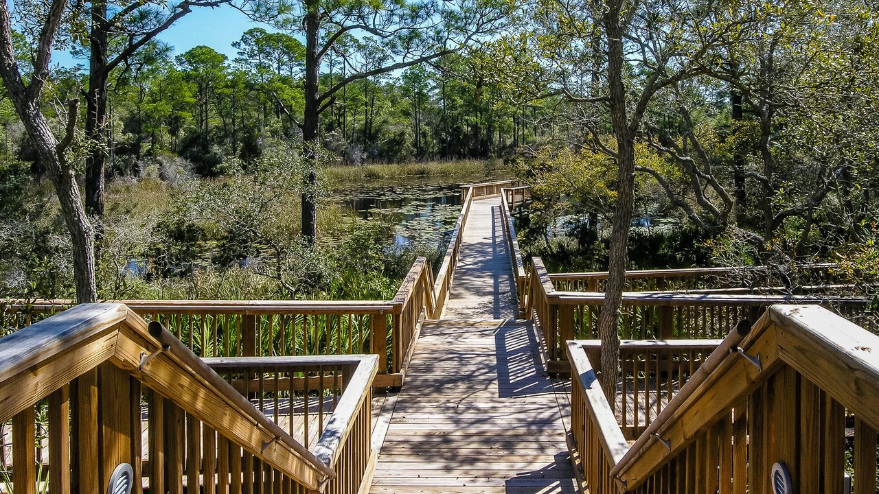 Photo of Outdoor in Lakeside at Blue Mountain Beach